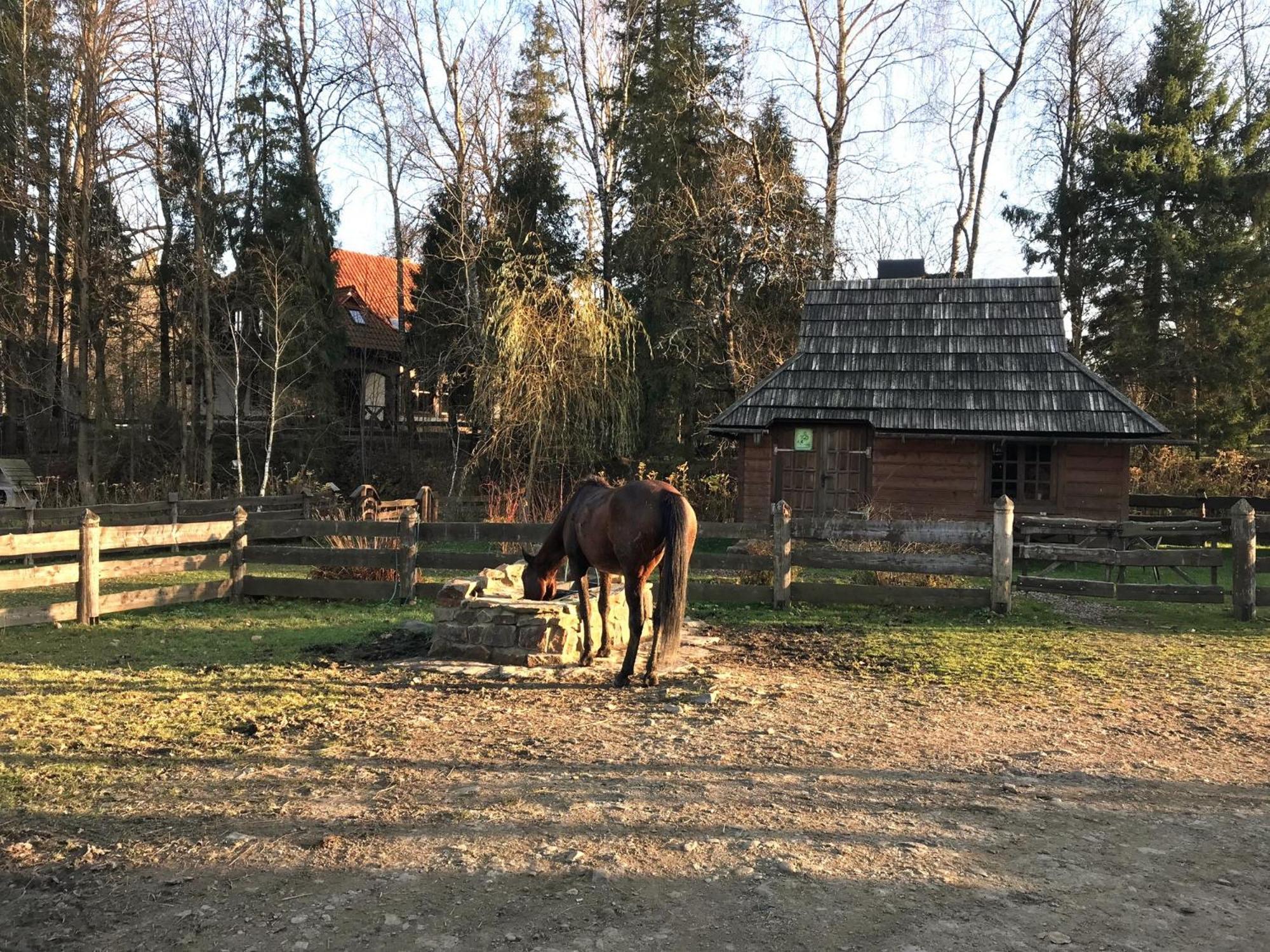 Dom w Bieszczadach Villejka Strzebowiska Zewnętrze zdjęcie